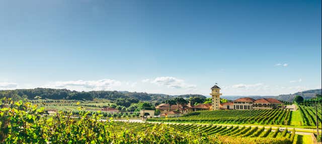Excursão ao Vale dos Vinhedos em Bento Gonçalves