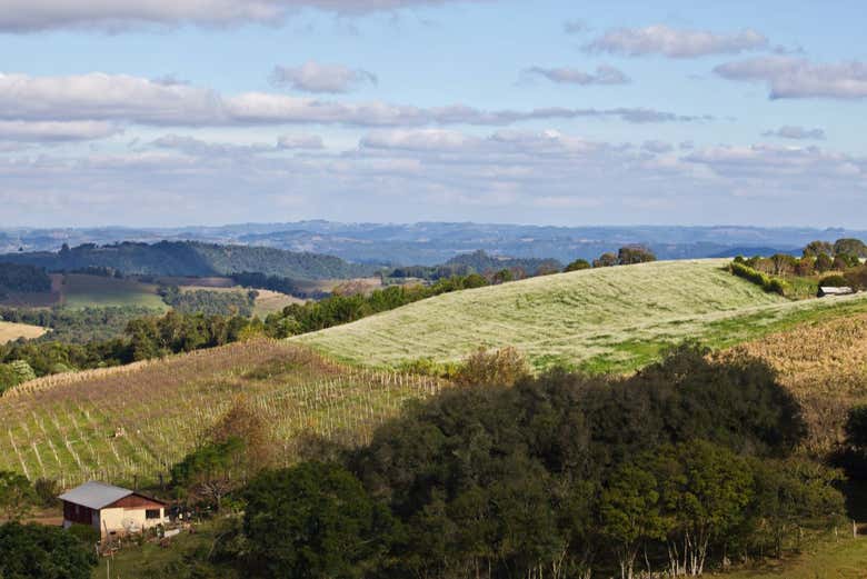 Visit Cotiporã and enjoy a wine tasting