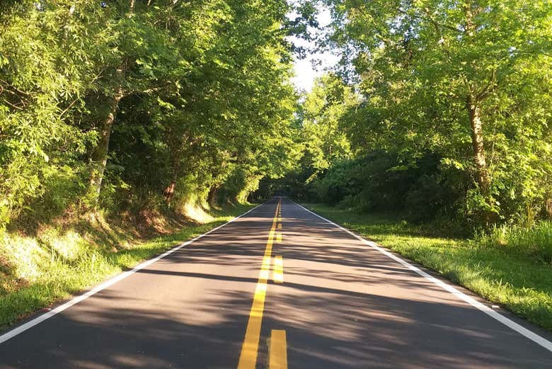 Drive down Romantic Road
