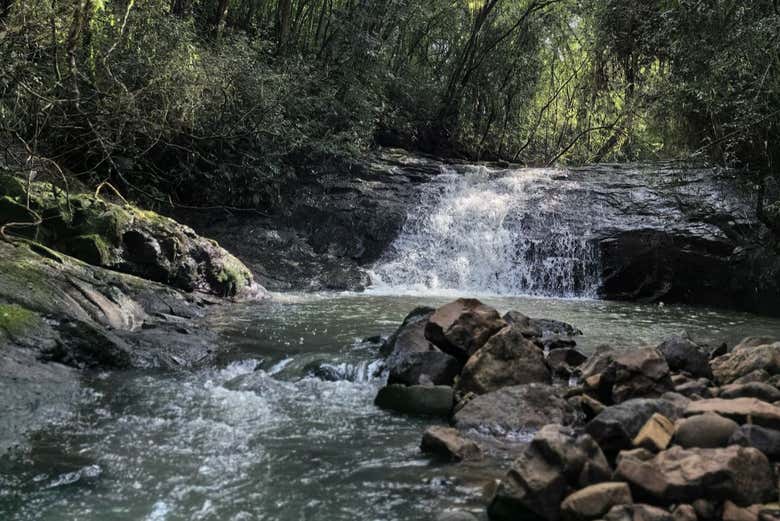 Admire the area's beautiful nature