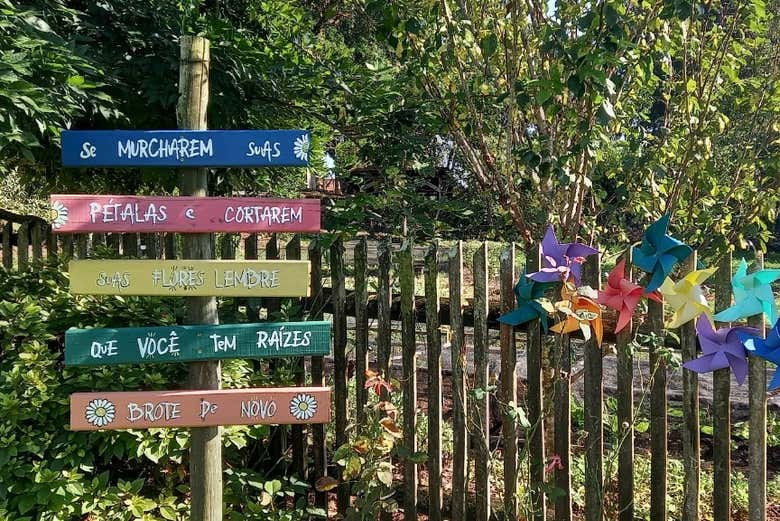 Carteles en los viñedos de Flores da Cunha