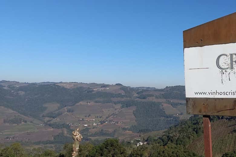 Paisagem vista da vinícola Cristofoli