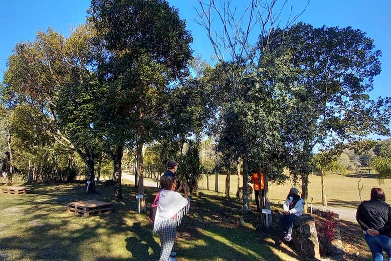 Durante a visita a uma vinícola