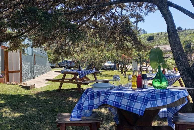 Comida rodeados de naturaleza