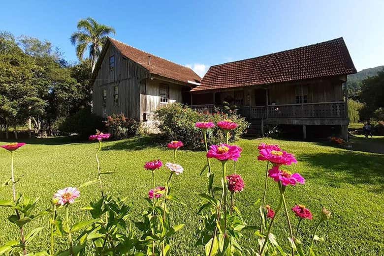 Learn about the region's history