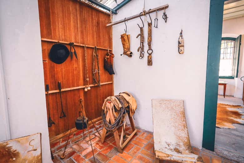Visit multiple cultural exhibitions