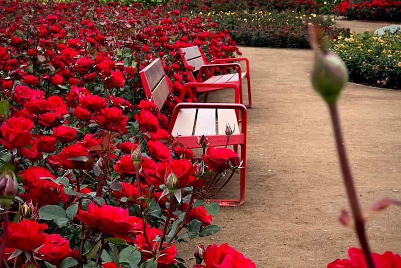 Relax and take in the beauty