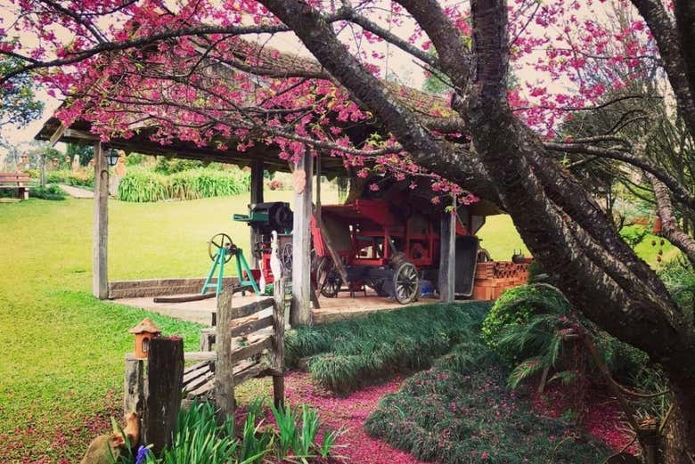 Paisagens que veremos durante o tour