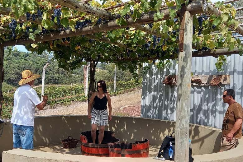 Escuchando las explicaciones del guía