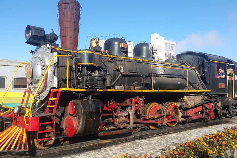Maria Fumaça vista de lado