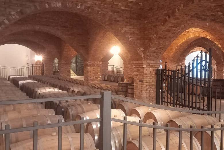 Impareremo tutti i segreti del vino di Vacaria