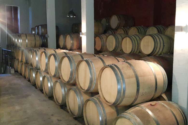 Barrel room