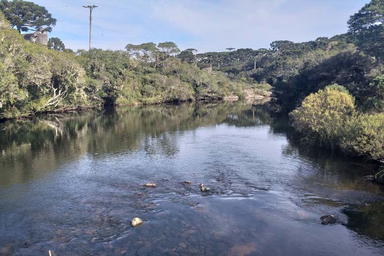 Immerse yourself in the Parados da Serra National Park