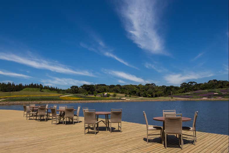 Enjoy the landscapes in São Francisco de Paula