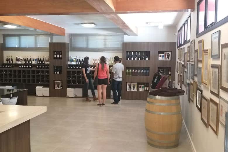 Visitando uma vinícola