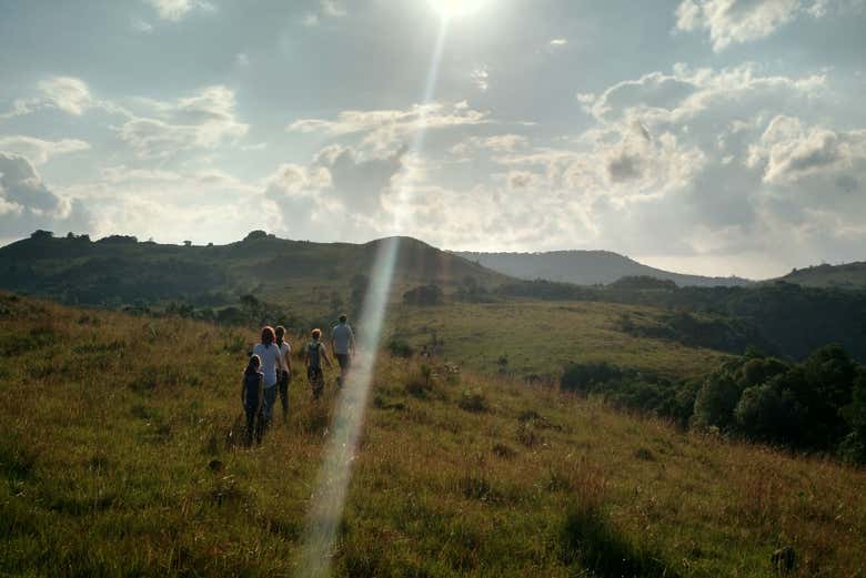 Landscapes of the Criúva fields