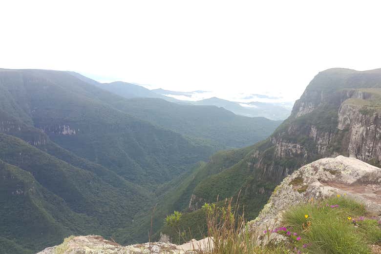 Immerse yourself in Brazilian nature