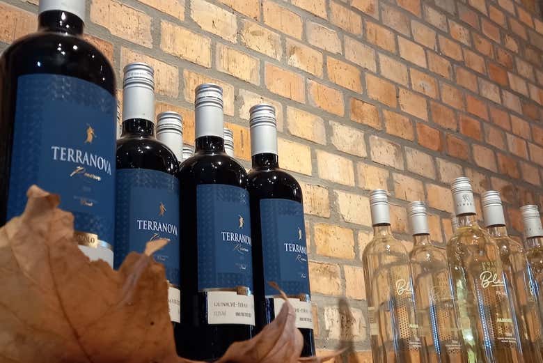 Wines of Rio Grande do Sul
