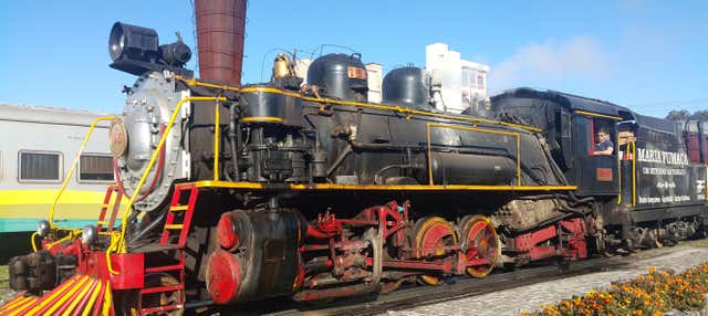 Excursão de trem Maria Fumaça + Visita a uma vinícola em Bento Gonçalves