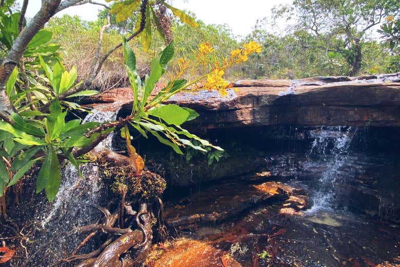 Admire the unique rock formations