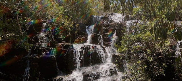 Trilha pelas cachoeiras Águas do Cerrado