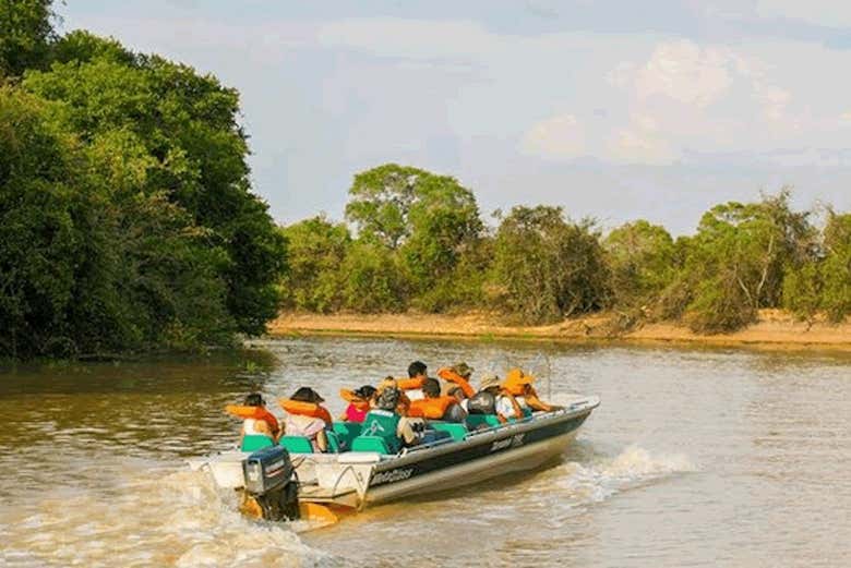 Passeio de barco pelo Pantanal