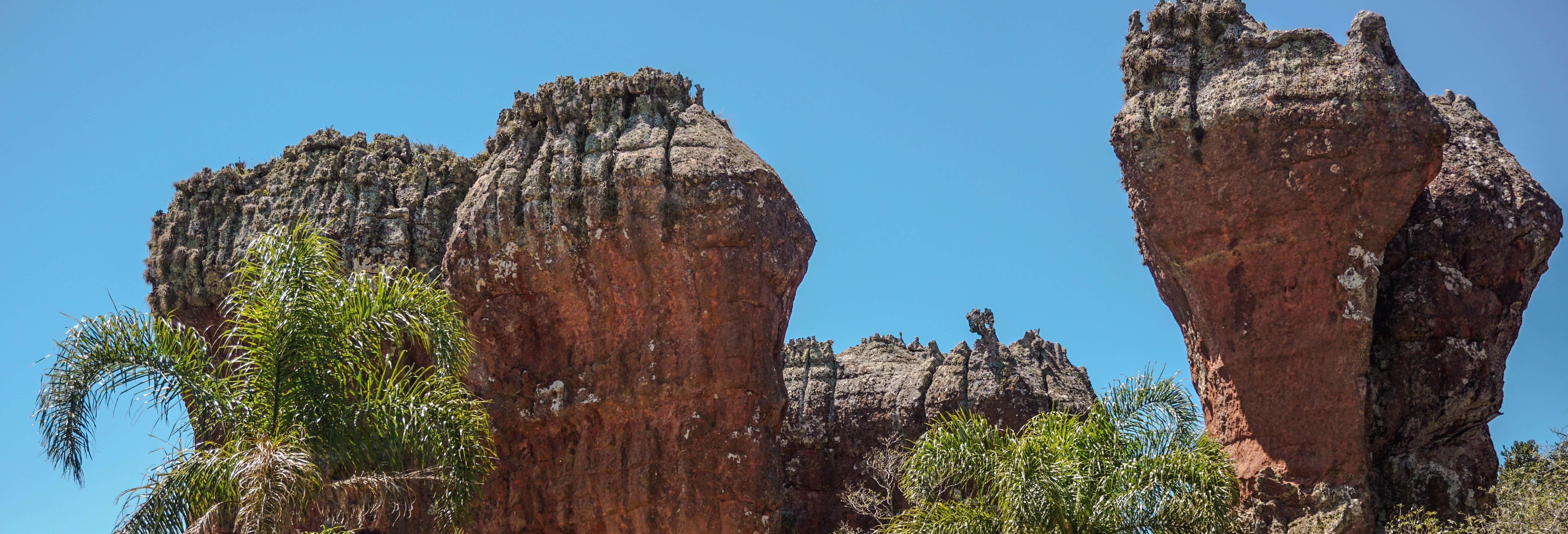 Excursões de um dia em Curitiba 