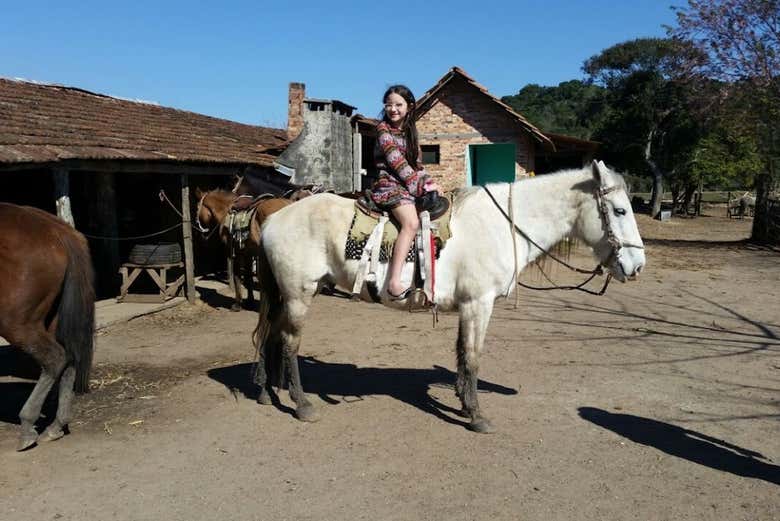 Passeando de cavalo em Curitiba