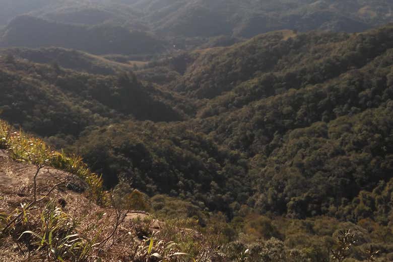 Vegetación en el cañón da Faxina