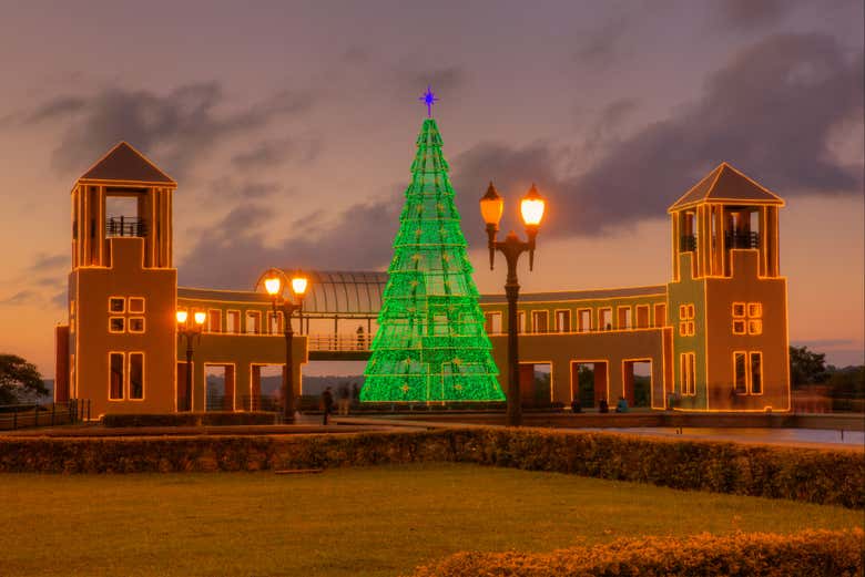Parque Tingüi con su árbol de Navidad