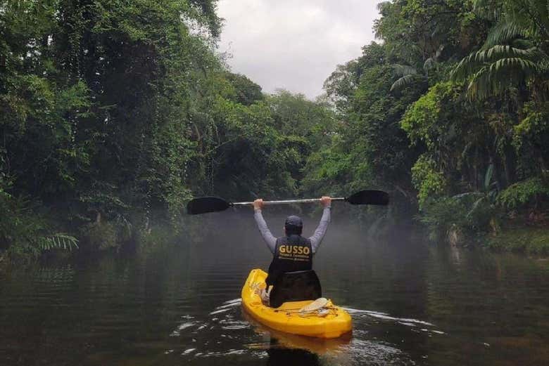 Vamos entrar na densa vegetação do Vale do Gigante