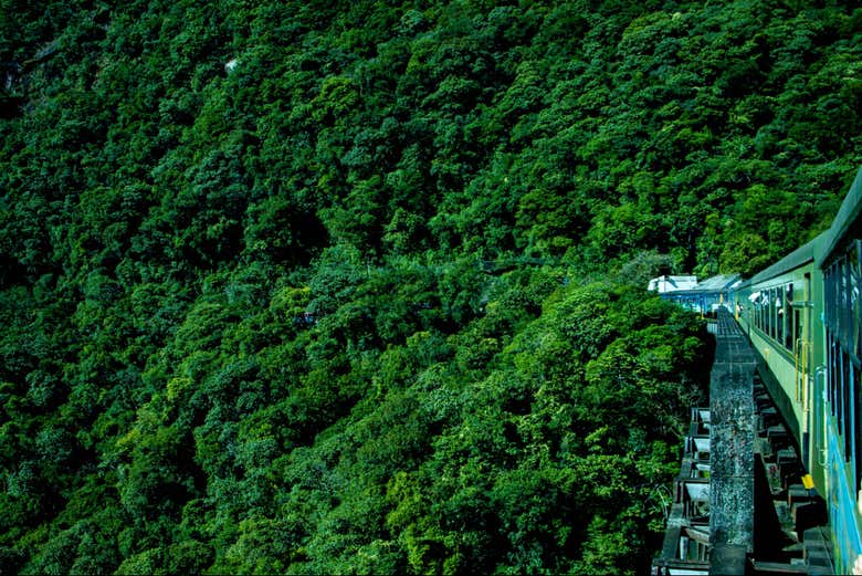 Você poderá admirar a exuberância da Mata Atlântica do trem