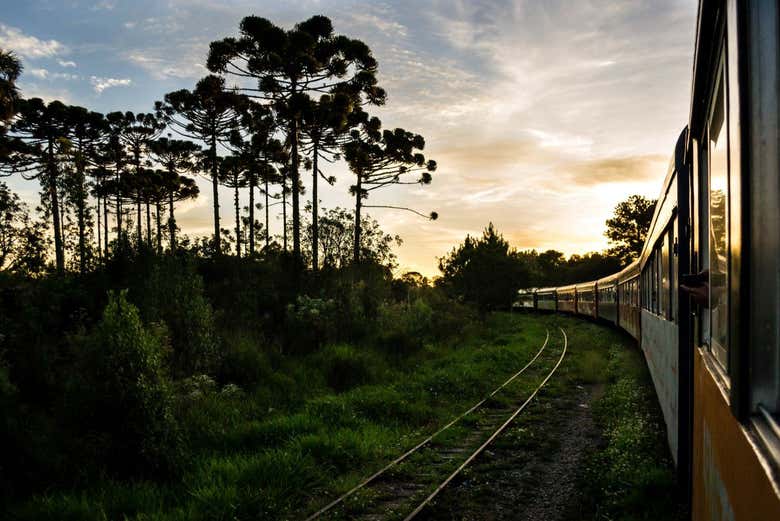 El viaje al atardecer