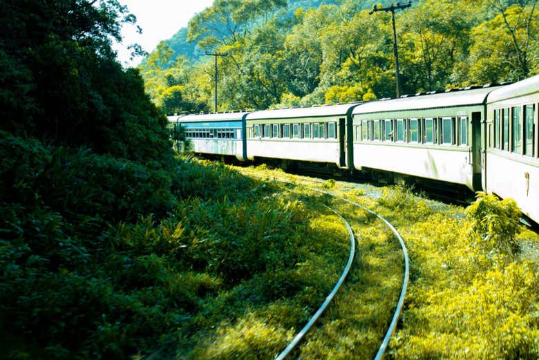 Un viaje inolvidable en tren