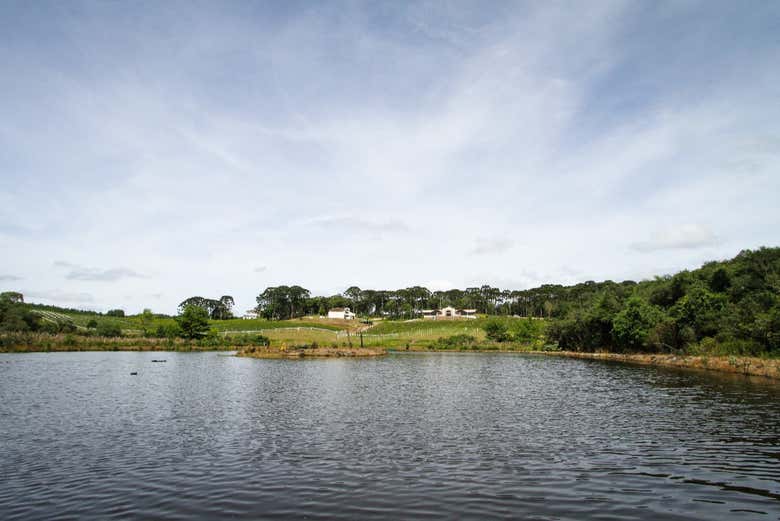Panorámica de la bodega Vinícola Araucária