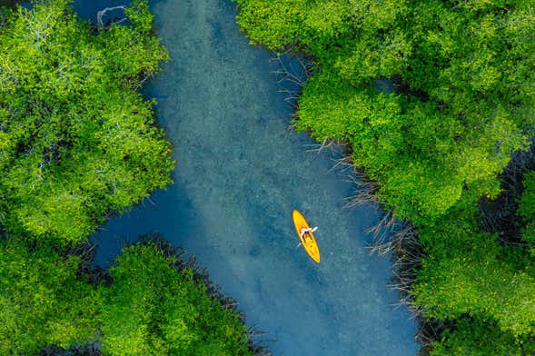 Tour en kayak por el Vale do Gigante