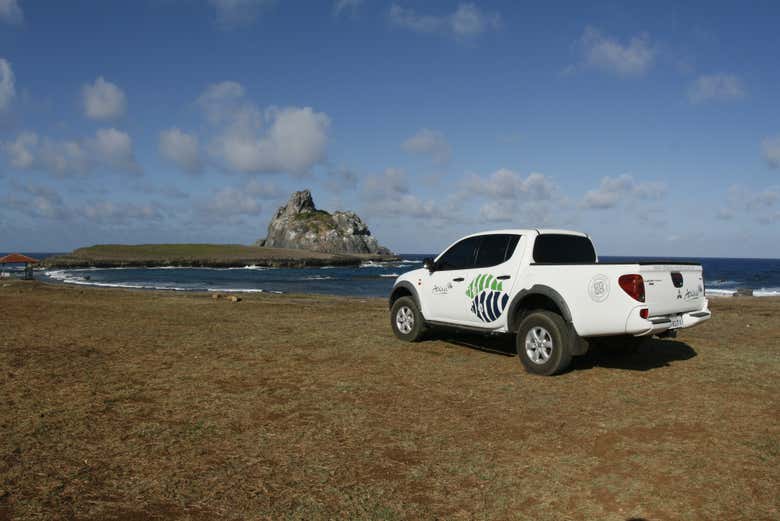 All-terrain vehicle during the activity