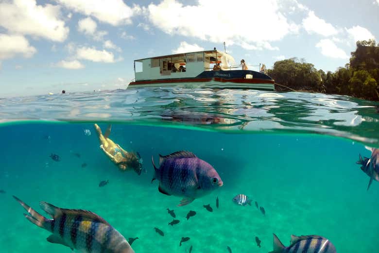 Passeio de barco por Fernando de Noronha