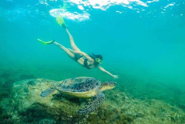 Fernando de Noronha é um autêntico paraíso!