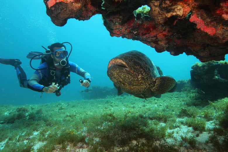 Exploring the sea wildlife