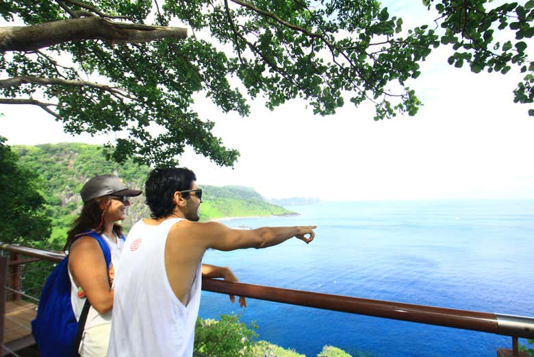 Vendo os golfinhos do mirante