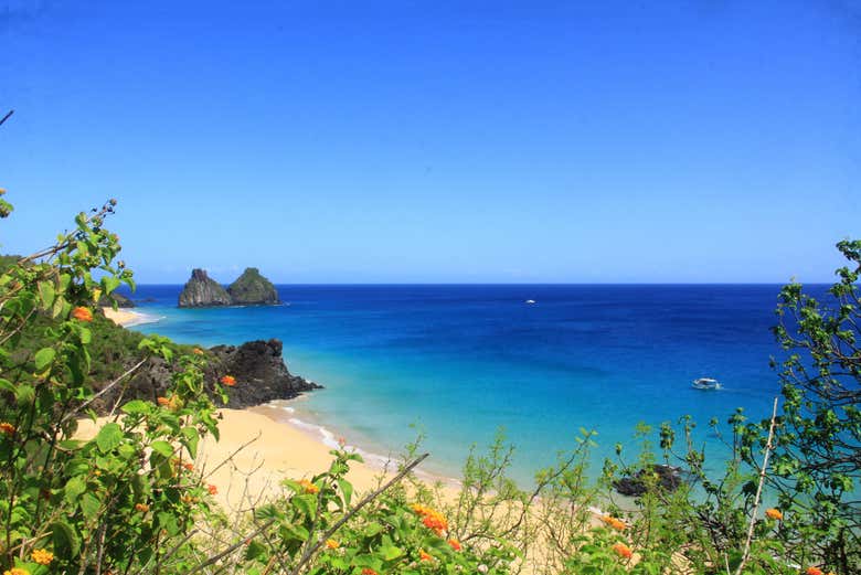 Natureza em Fernando de Noronha