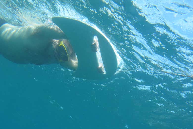 Prancha submarina em Fernando de Noronha