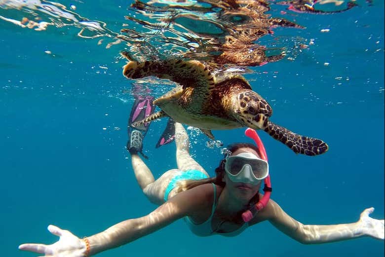 Desfrutando da atividade de snorkel