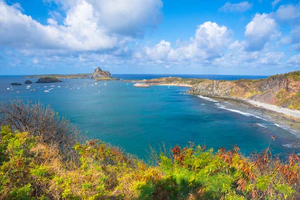 See-through Kayak Tour of Fernando de Noronha