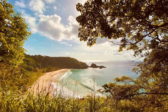 Tour privado por Fernando de Noronha