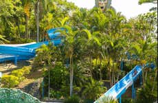 Agua Show Park Ticket