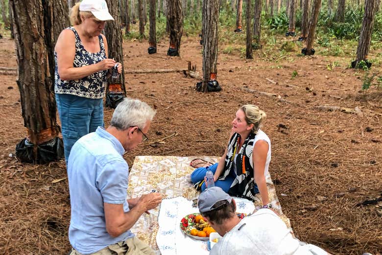Make the most of your time in Florianópolis