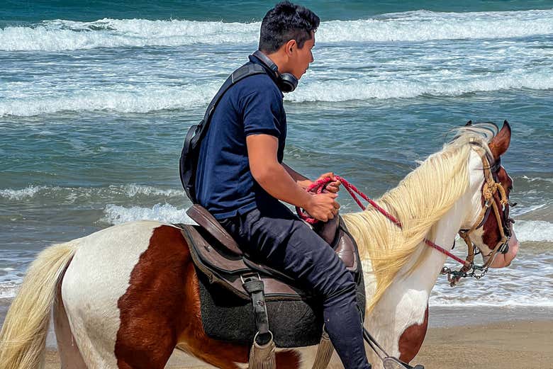 Ready to horseback ride along the beach?