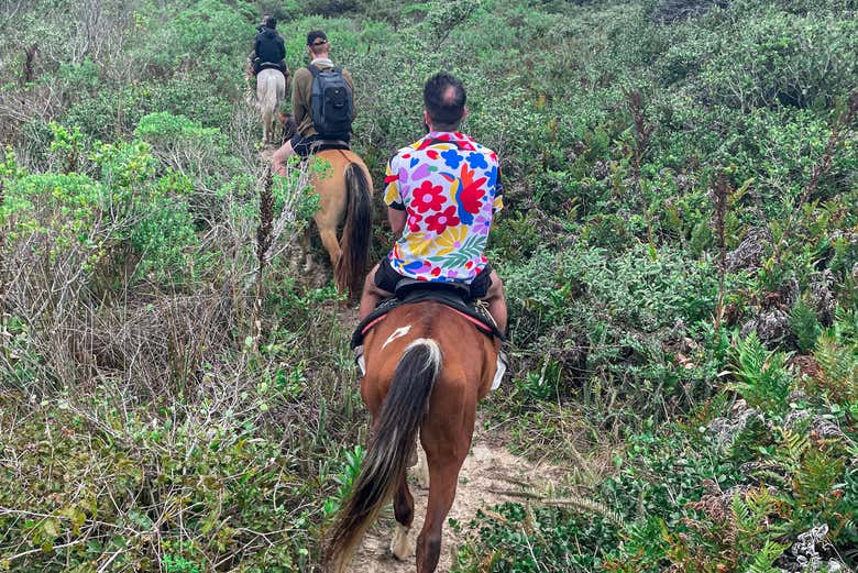 Venture into natural landscapes